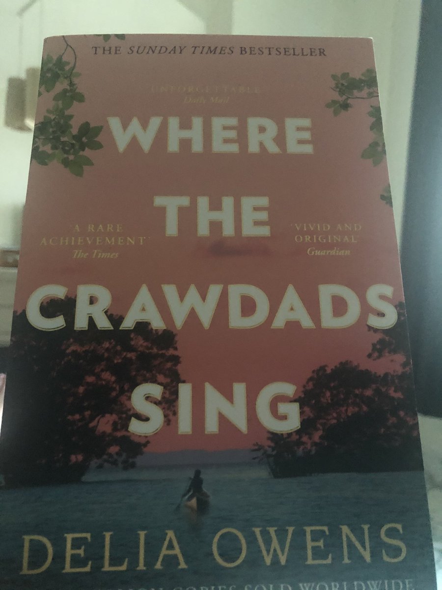 Veida Jelley tweet media