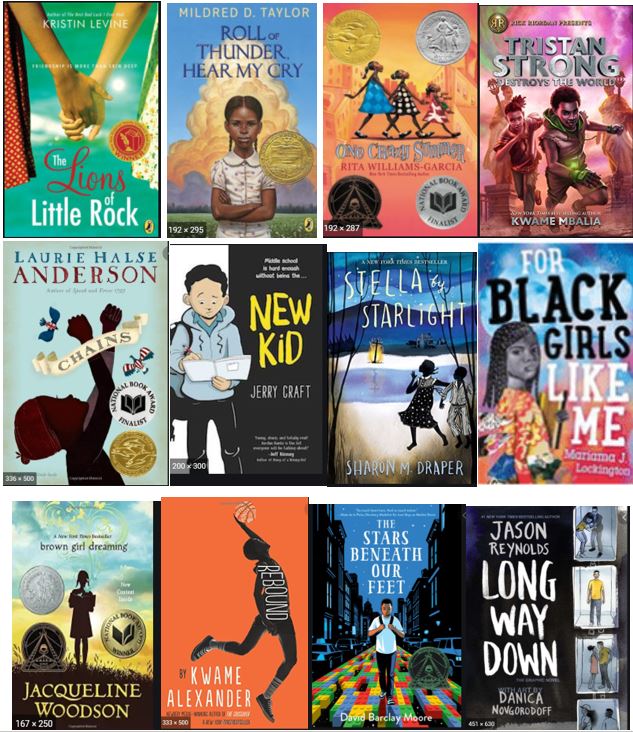 MrsJakubowski3's tweet photo. I was beyond excited to recommend young adult novels that are written by black authors or feature strong black characters. Love some of these stories and others came highly recommended to me (adding to my  list). #cmsclicks #celebratingdifferences #AchieveCreateTransform https://t.co/4jgkmtUnVy