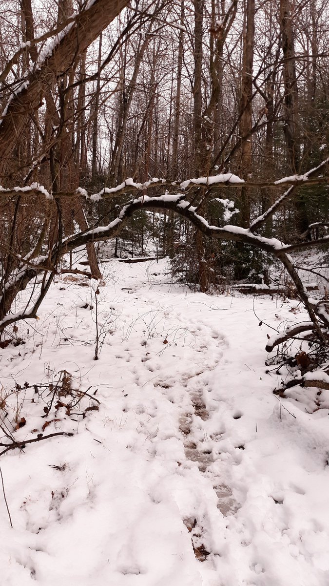 Sometimes when I feel like that, I walk to the lake in my neighborhood. It's been in my memories forever, and I like to imagine it listens to me thinking out loud about ways to keep going.There's not always time to do that, though.
