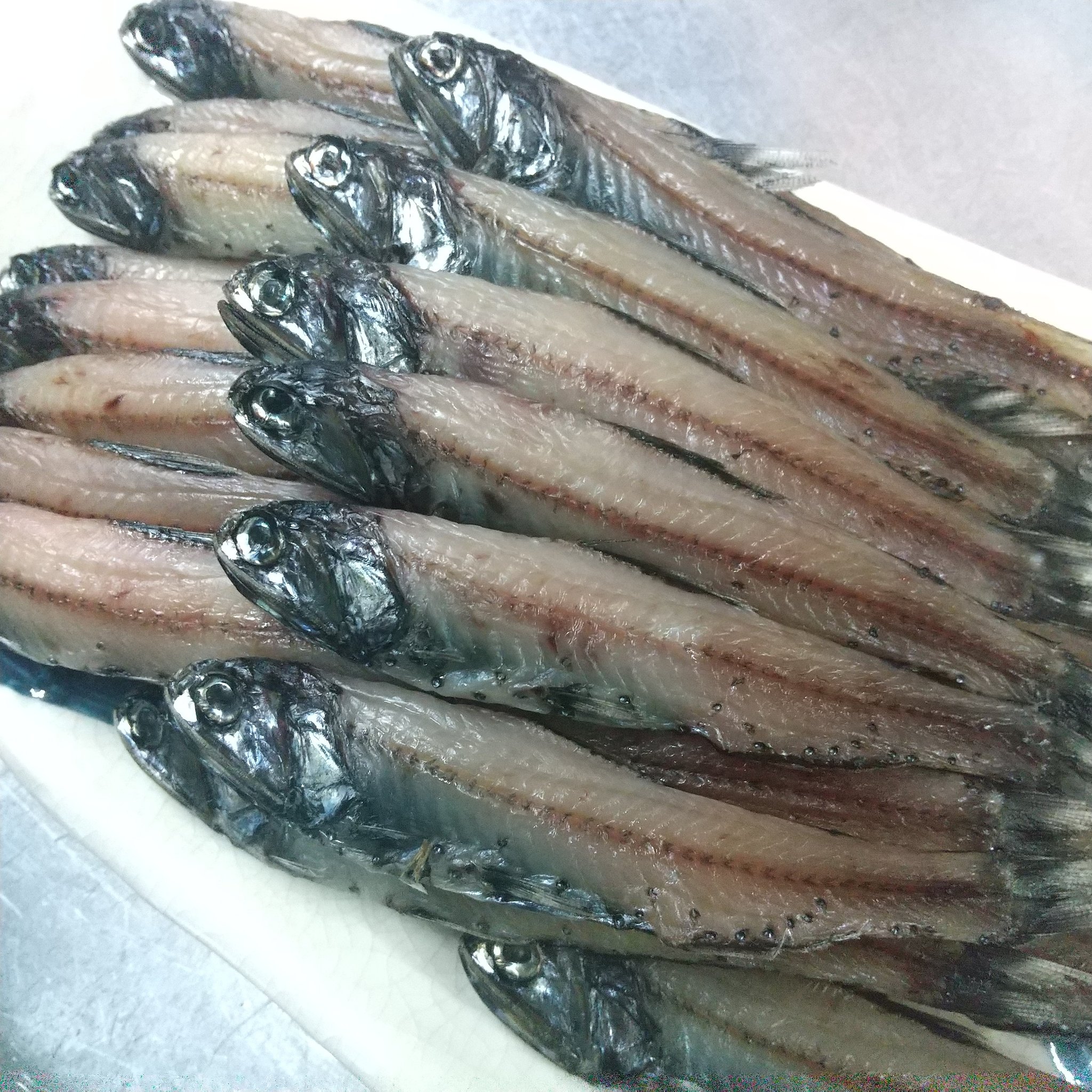 高知の食 勝手に応援し隊 T8q5zonjji7atth Twitter