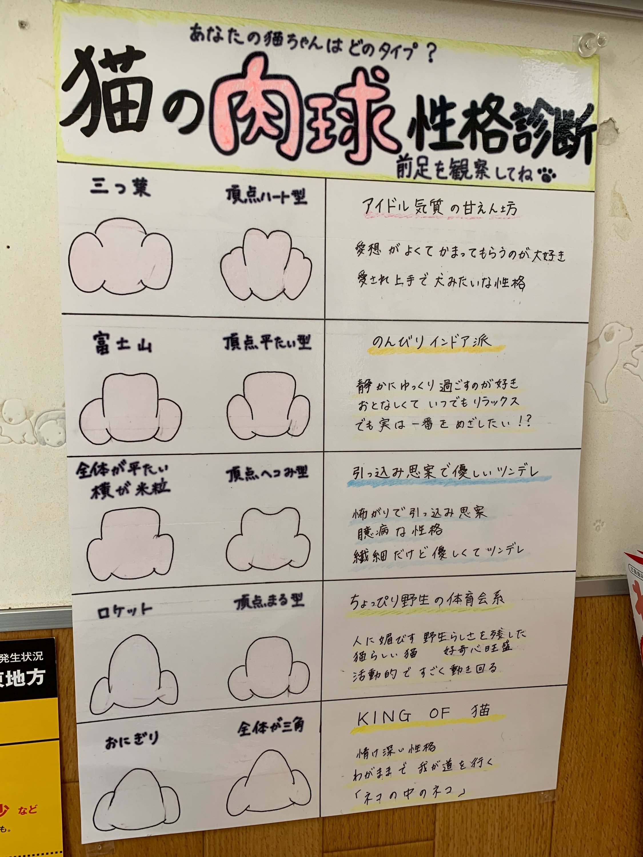 オレンジ猫 肉球 性格診断 友人が動物 で撮ってきました 猫好きさんと繫がりたい T Co G1urr2dghg Twitter