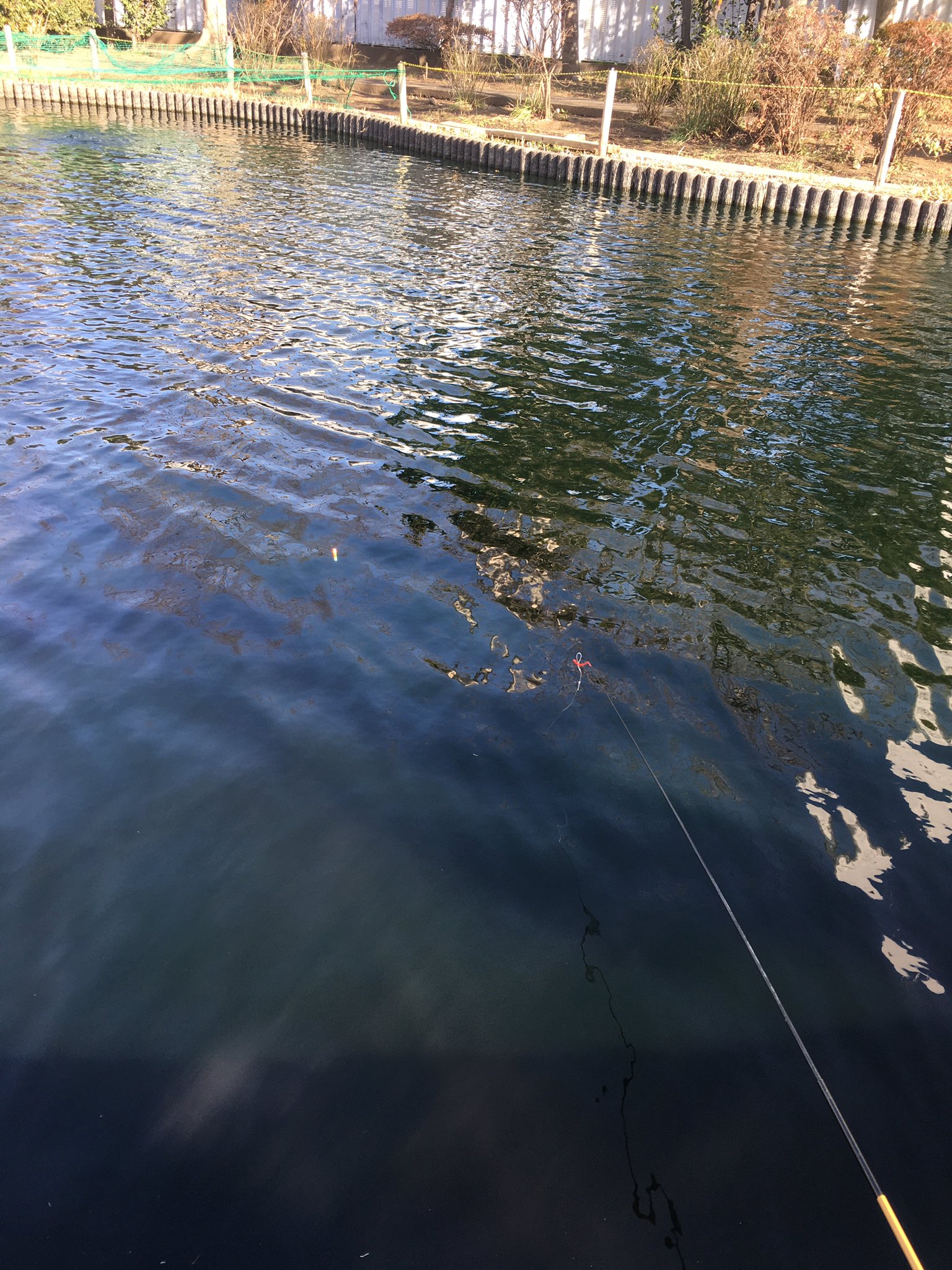 浮間釣り堀公園 Twitter Search Twitter