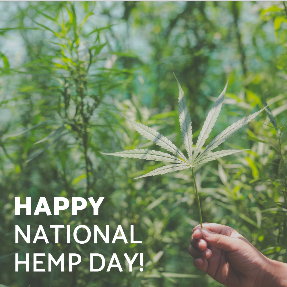 thecbdpath's tweet image. Happy National Hemp Day! 🌿Today we celebrate American hemp farmers and the growth of the industry as a whole.  All said and done, hemp is an absolute miracle plant, and we're so grateful for it! #nationalhempday #cbdpower #cbdhealing