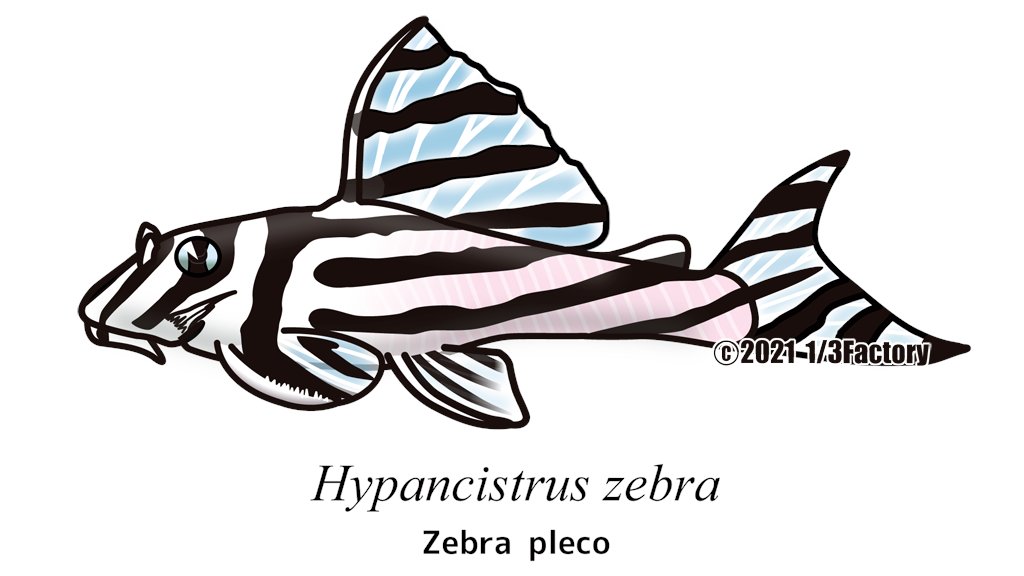 1 3factory 1 3factory Twitter