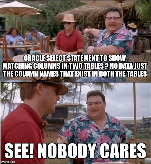 overflow_meme's tweet image. Oracle select statement to show matching columns in two tables ? No data just the column names that exist in both the tables stackoverflow.com/questions/6605… #oracle #plsqldeveloper #plsql #databasemetadata #sql