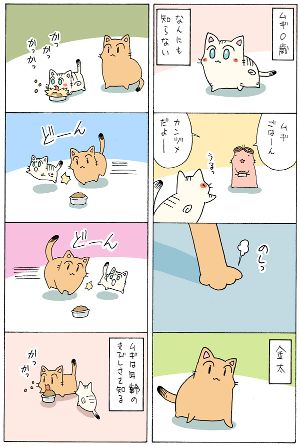 老猫と子猫が一緒に暮らしたら⑦
https://t.co/9QV4FAp4Kv 