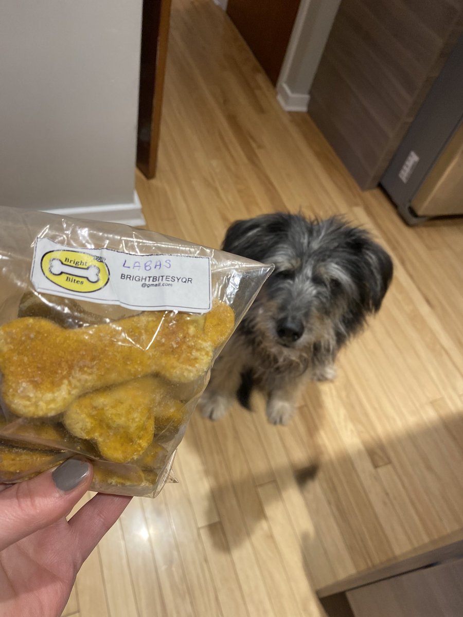 Shannon Johnstone (@msjohnstone306) on Twitter photo Thanks @JillLabas for dropping off some delicious looking dog treats. #brightbites  @campbelltartans Thanks @JillLabas for dropping off some delicious looking dog treats. #brightbites  @campbelltartans