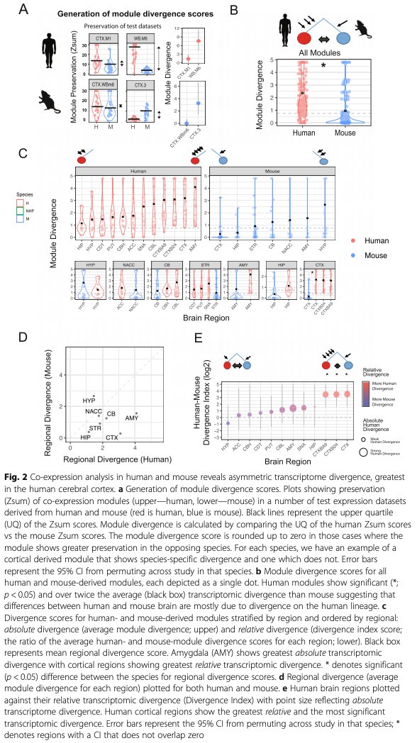 BioDecoded's tweet photo. Evolutionary conservation and divergence of the human brain transcriptome | Genome Biology
https://t.co/ZqtwluYrOv
#coexpression https://t.co/6KMVOVFndx