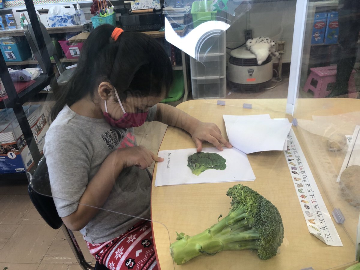 Alexandria Becker tweet media