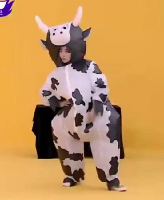 seungkwan in cow costume is the best thing in the worldpic.twitter.com/5ToK...
