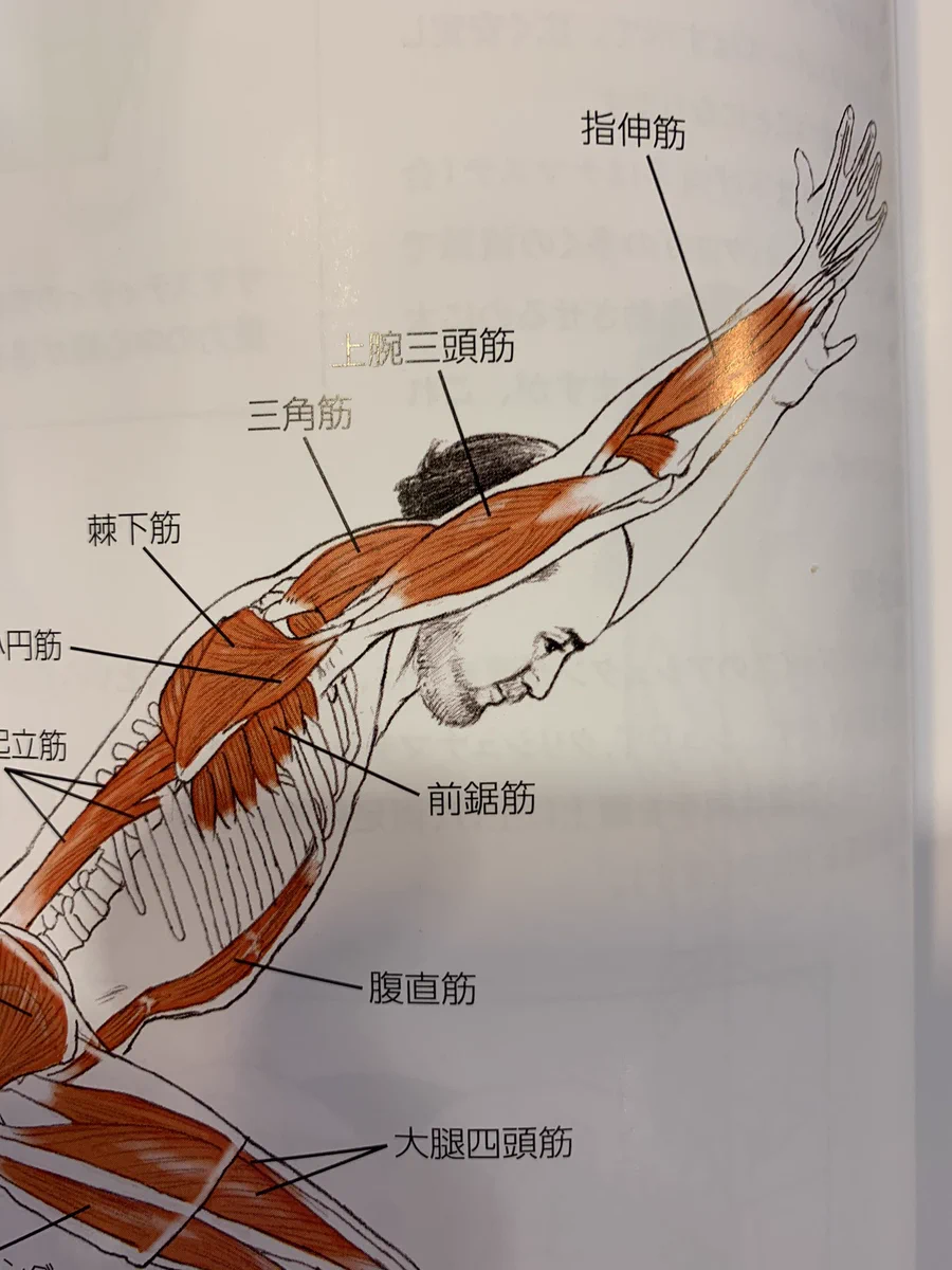 なぜこの髪にした？髪型のせいで内容が全く入ってこない本ｗｗ