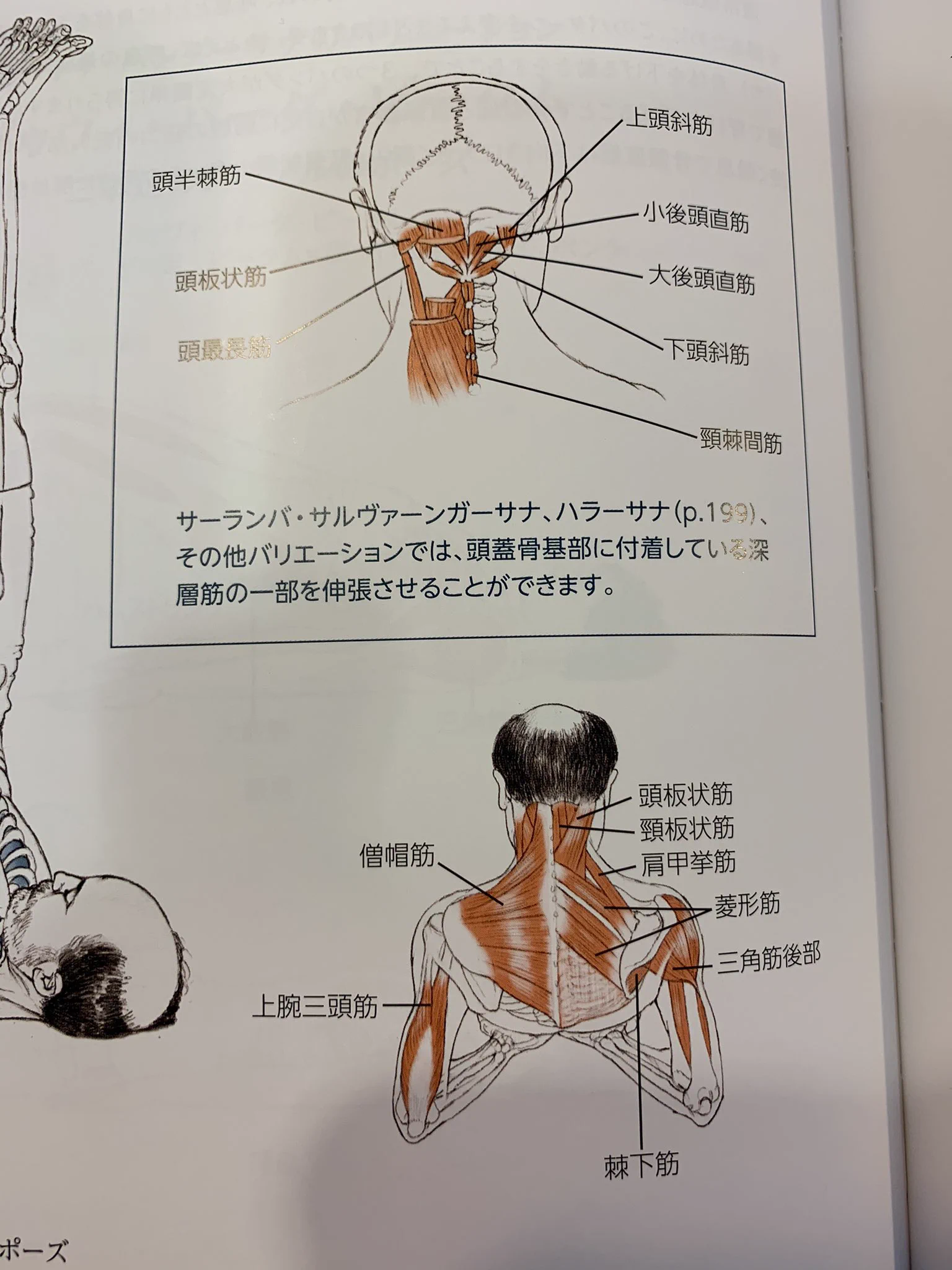 なぜこの髪にした？髪型のせいで内容が全く入ってこない本ｗｗ