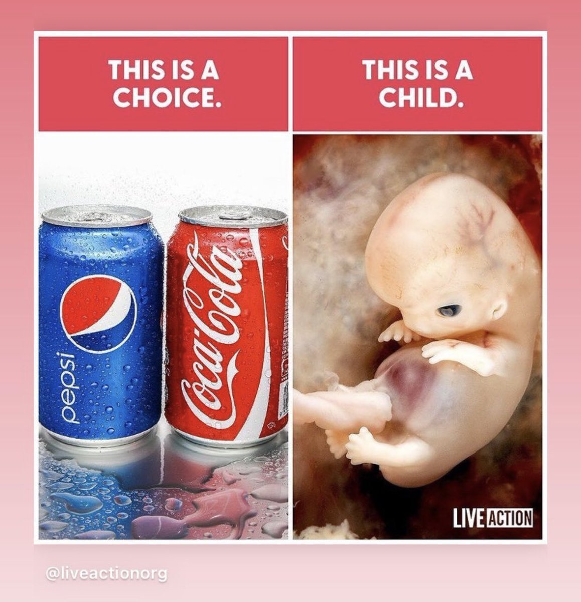 netteypea's tweet image. 