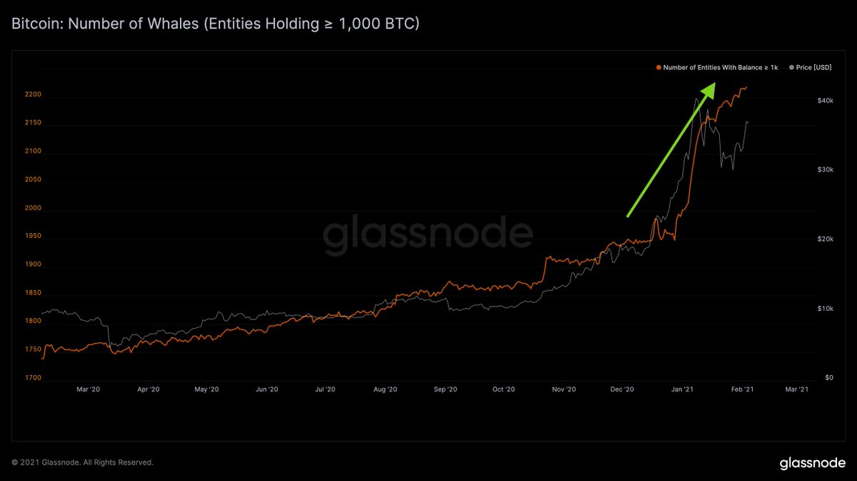 The number of #Bitcoin whales (entities holding ≥ 1k $BTC) has seen an  astounding increase. Since the beginning of the year, more than 200 new  whale entities have appeared in the network ––