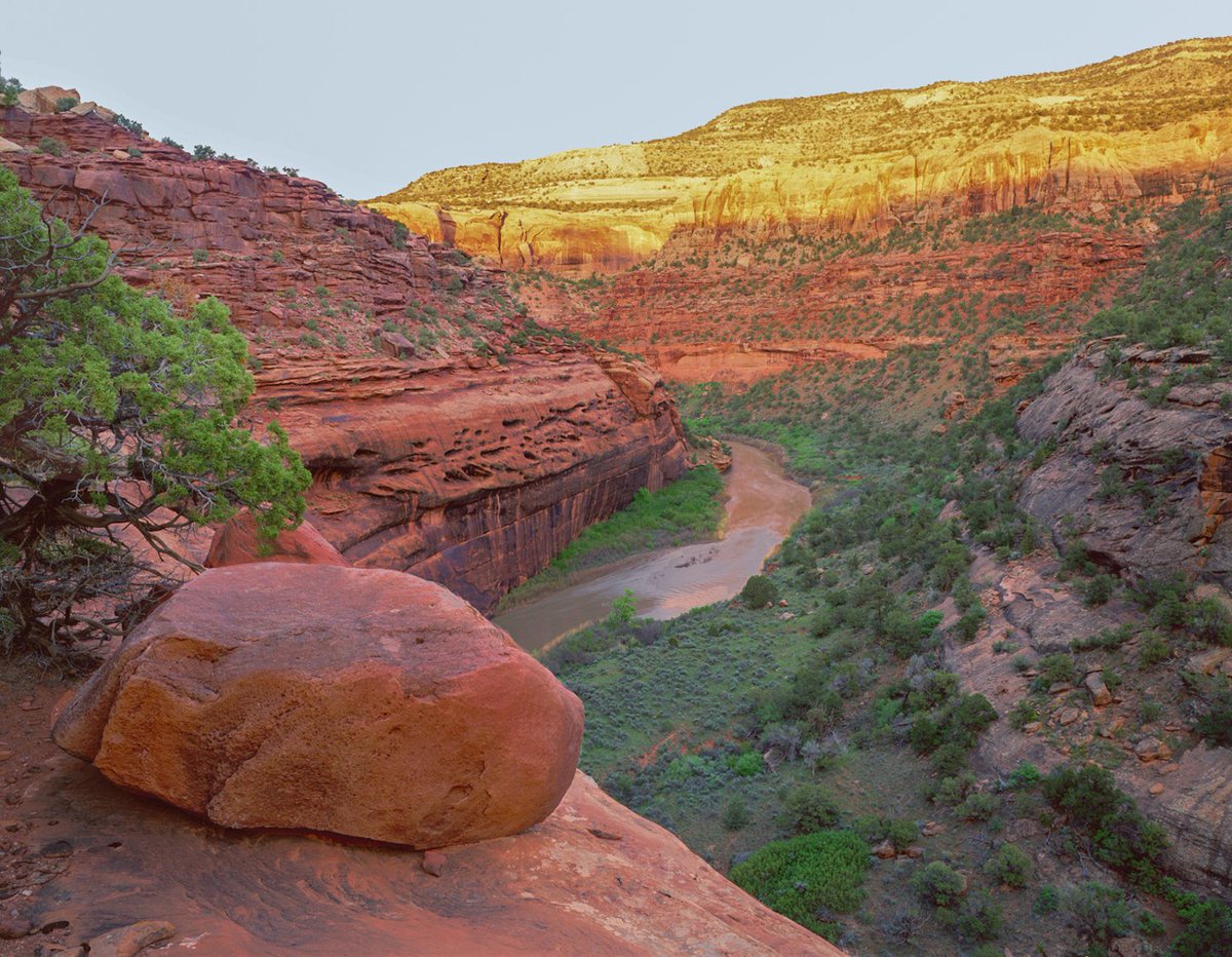 RepDianaDeGette's tweet photo. We just introduced our #ColoradoWildernessAct to protect 660,000 acres of wilderness across Colorado! 

Our public lands belong to all of us. 
 
But it's up to Congress to keep it that way. 
 
RETWEET if you agree we need to preserve these iconic wilderness areas once &amp; for all! https://t.co/9vSKo95ihc