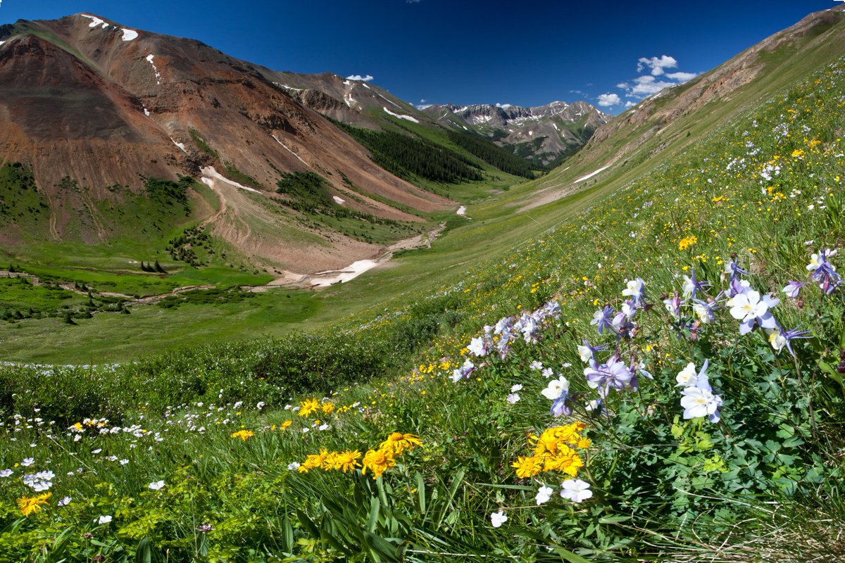 RepDianaDeGette's tweet photo. We just introduced our #ColoradoWildernessAct to protect 660,000 acres of wilderness across Colorado! 

Our public lands belong to all of us. 
 
But it's up to Congress to keep it that way. 
 
RETWEET if you agree we need to preserve these iconic wilderness areas once &amp; for all! https://t.co/9vSKo95ihc