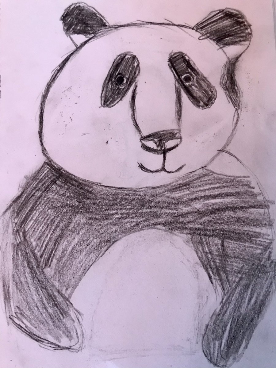 LucyOnionsAuth's tweet photo. Me and Mol both took part in her #art lesson today. After a long day #homeschooling, it was a brilliant way to #relax. Molly chose drawing as one of her #waystofeelbetter as part of #childrensmentalhealthweek. Having an hour together, being creative, has been lovely. #parrots https://t.co/RD9WOXp7hY