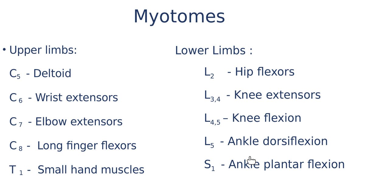 OrthoMasters tweet media