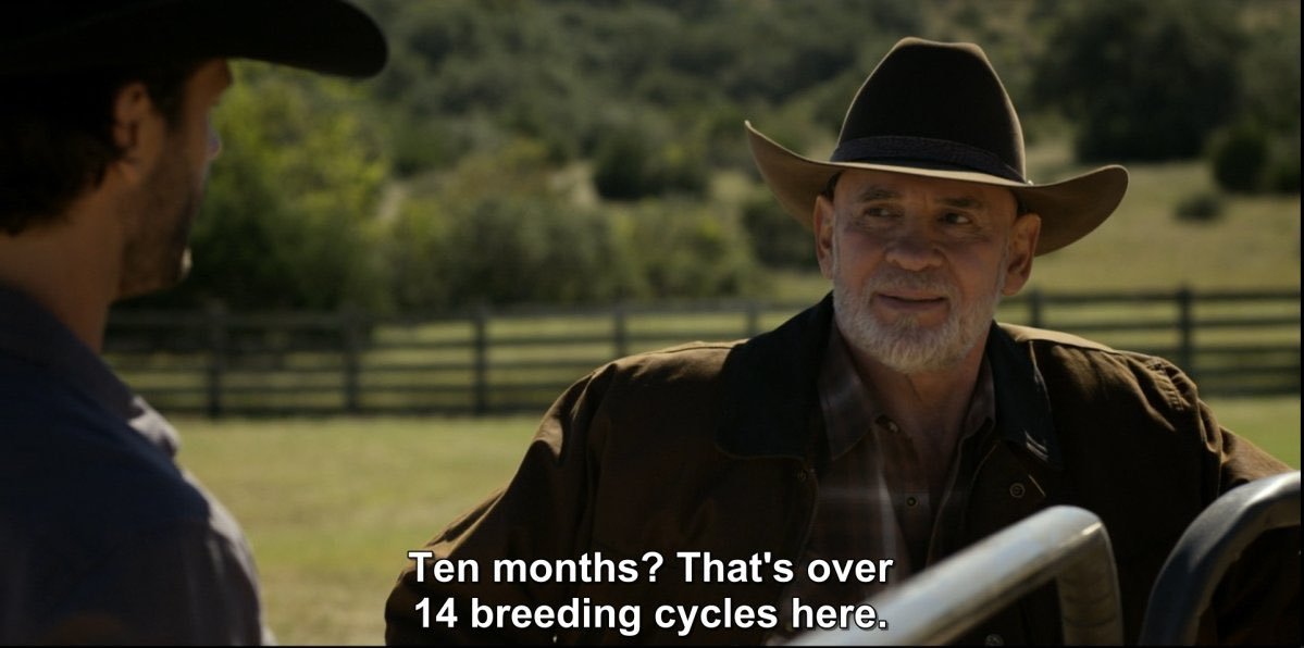 if i haven't convinced you to not watch  #TheWhiteWalker yet, can i convince you not to with this image alone (actual dialogue from the show, btdubs)