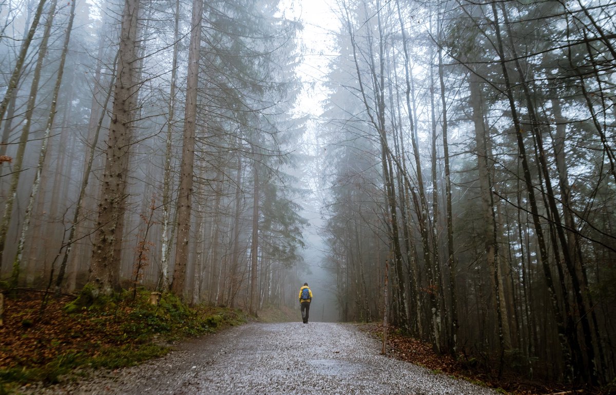 SomaSpokane's tweet photo. In this odd season, don’t underestimate the power of slogging it out with Jesus, just taking the next step, and then the step after that. Jesus walked. Everywhere. His pace was about 3 miles/hour. If that kind of steadiness marked the Son of God, then it is good enough for us! https://t.co/MJYZ6sPM9g