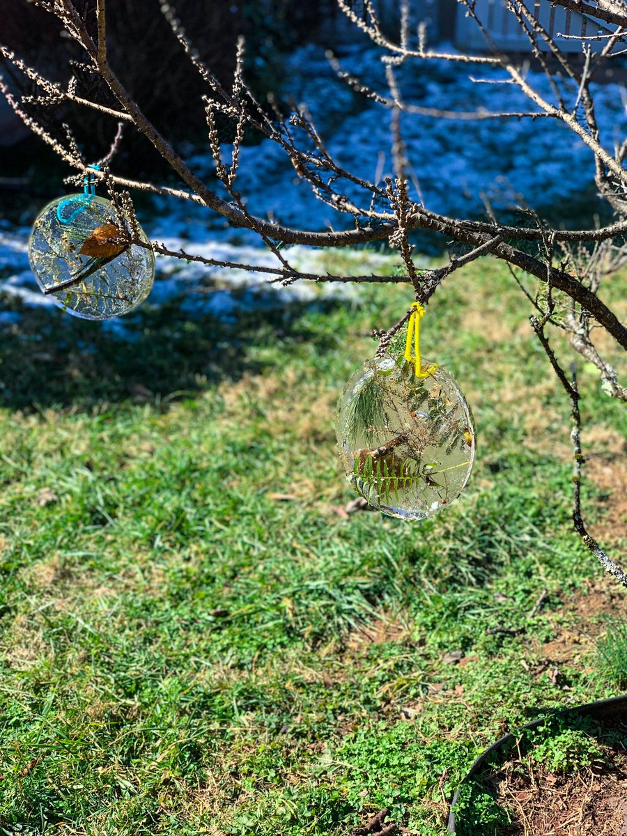 Easy outdoor kids activity: collect some leaves, twigs, and other foliage, lay them in a plate of water with a bent pipe cleaner, and let freeze overnight. In the morning, you'll have beautiful ornaments to hang outside on your trees! 🌲❄️

#homeschoolife #motherhood