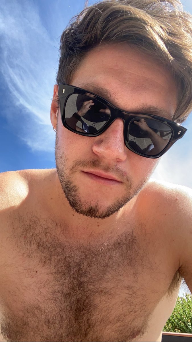 Who else misses Niall Horan selfies?