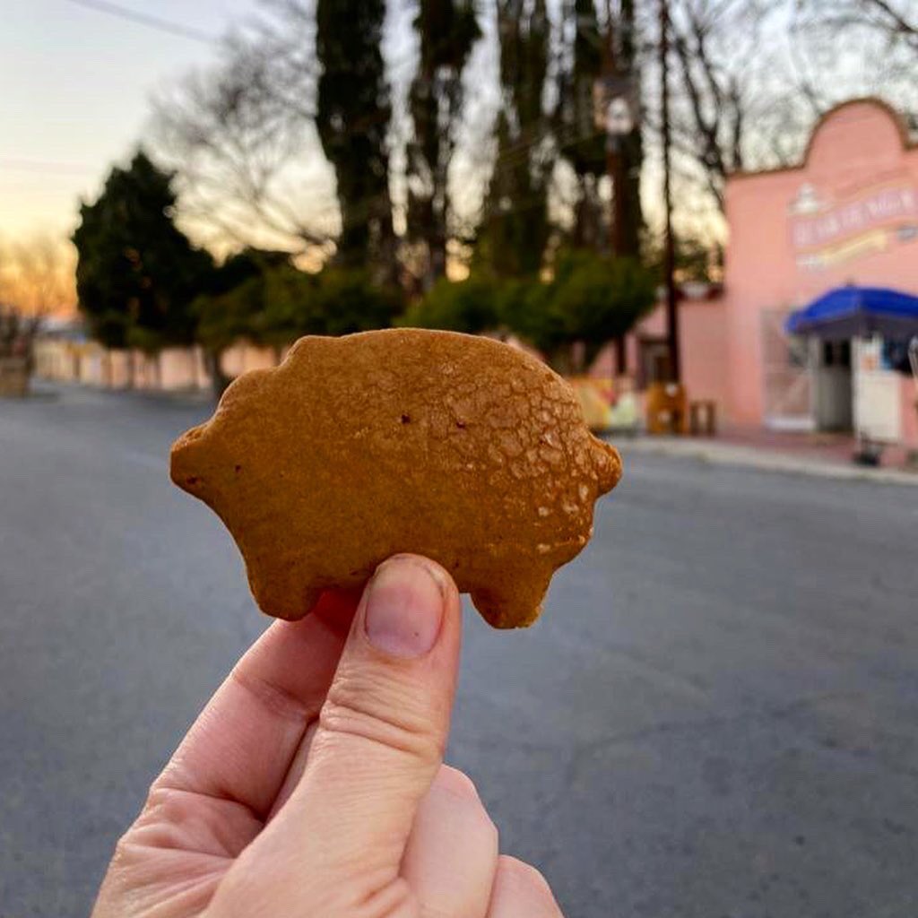 GingerGuitarra's tweet photo. El #puerquito #cochinito o #chichimbré es una galleta oscura a diferencia de otras y esto se debe al piloncillo que lleva en su receta. En algunos pueblitos siguen usando hornos de leña para su elaboración https://t.co/x7mbo9NXdj