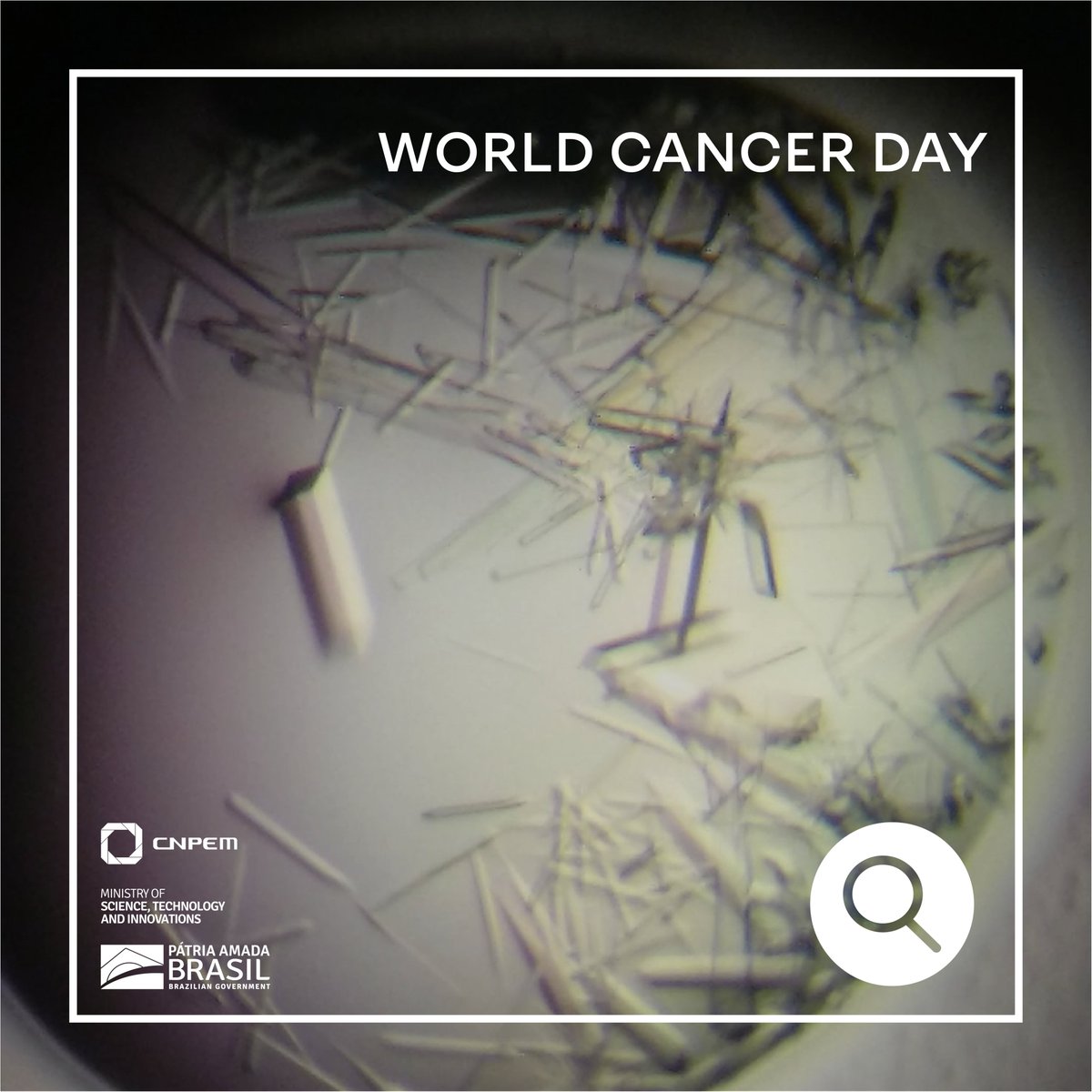 Today is "World Cancer Day".  #CNPEM  #MCTI  #BrazilianScience  #GoSirius  #WorldCancerDay    #LightSourceScience  @lightsources