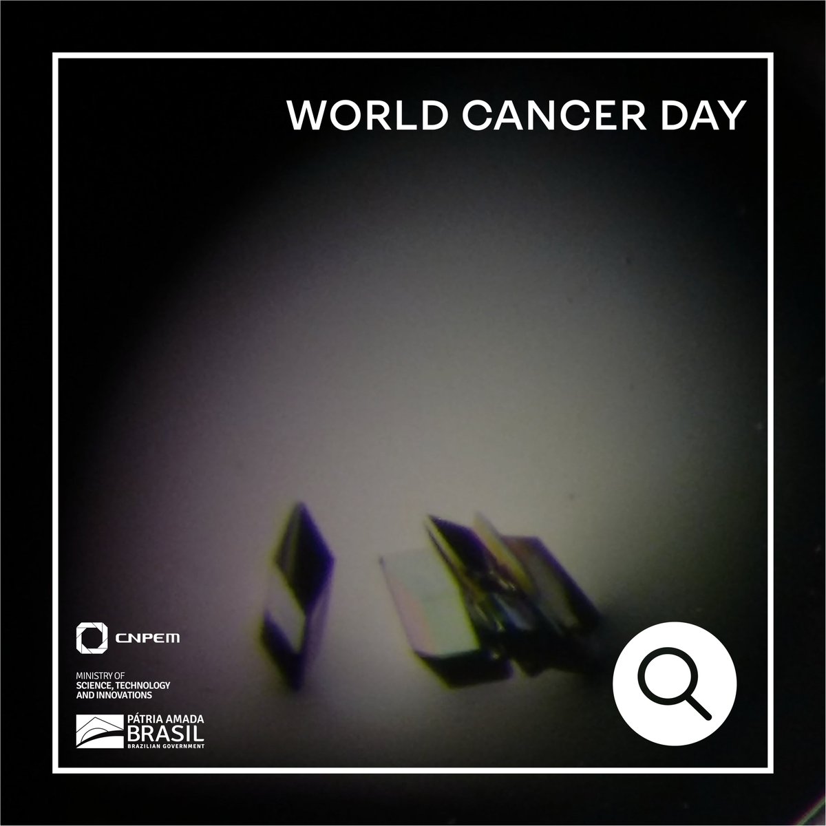 What if a molecule inspired by the compounds found in Brazilian biodiversity could slow down the development of this disease? This is one of CNPEM's researches that has used Sirius!