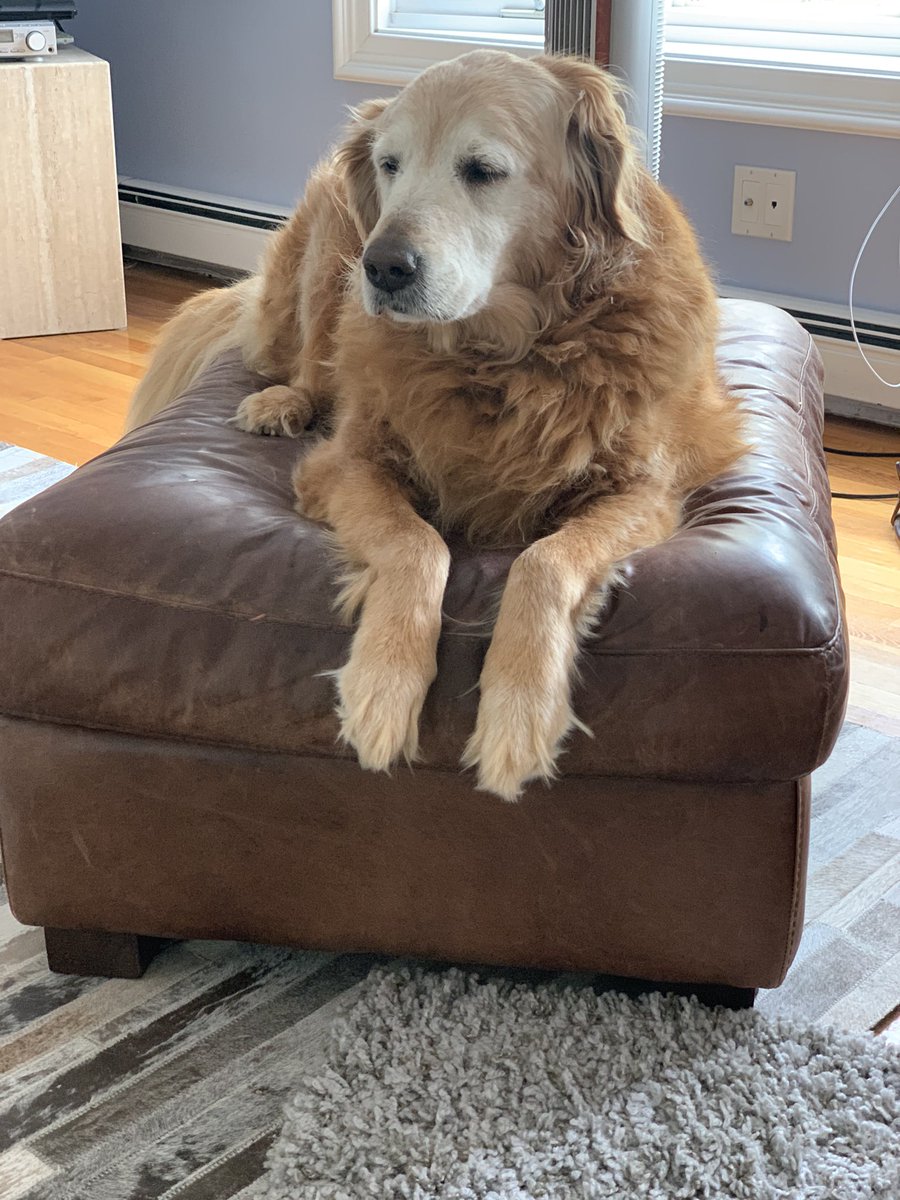 Julian 🇺🇦 tweet media