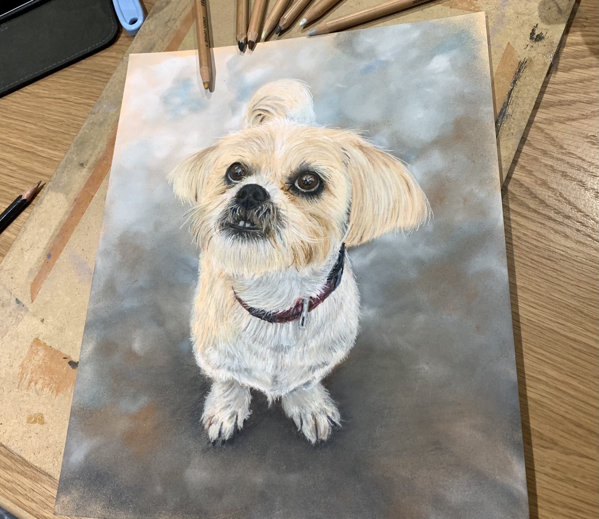 NBL_Unlocked's tweet photo. Finished my latest commission for a client and what a wonderful subject she is. “Doris” #petportrait #pastelpencil #art #petsofinstagram https://t.co/ROedv9posX