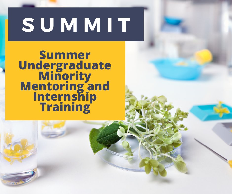 Summer #research internship for #underrepresented students in #Biology interested in #plantscience. Collaboration w/ labs around the US. @asusols students can work with Dr. Chen at ASU! Apps due 2/26. $5000 stipend. bit.ly/summitumn