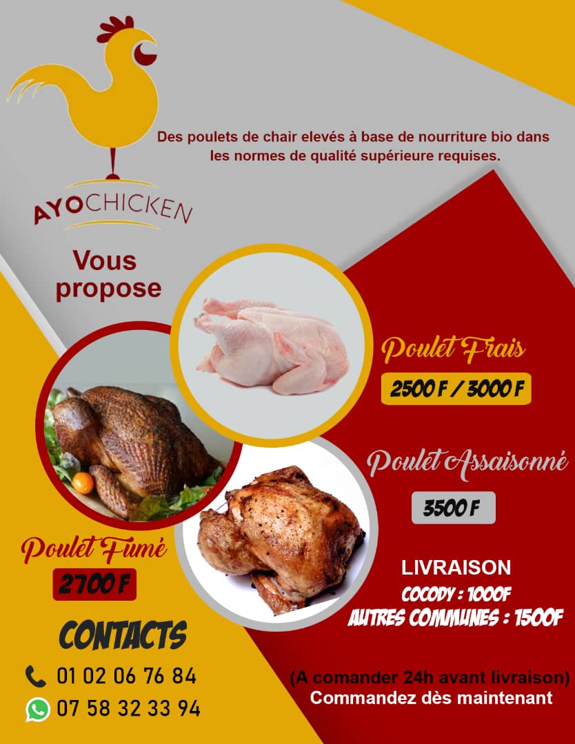 Drluckeymanuel's tweet photo. Bonsoir la famille. C'est officiel, je me lance dans l'élevage de poulets de chair.
Ayo Chicken vous propose des poulets de chair de 45 jours avec la possibilité de vous fait livrer partout à Abidjan.
Je compte vraiment sur vous pour partager au max le post et commander. Merci🥳 https://t.co/prgAZ14RBR