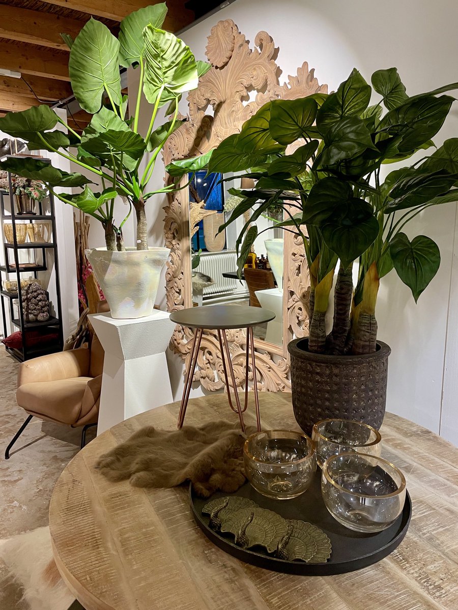 Deze mooie spiegel is nu van € 995,00 voor € 500,00. Afmeting 2,25 bij 1,35. 

Voor meer info neem contact op via:
Telefoon: 0487-591597 of 06-53124523 Whatsapp: 06-53124523 Mail: info@deagave.nl

Klantcontact, adviseren &amp; inspireren
Onze bezorgers staan voor u klaar!