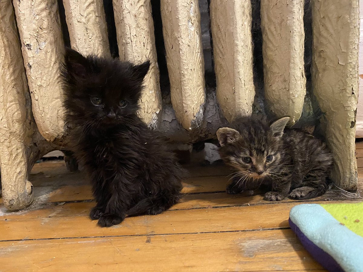 "Dis is warm. We lives here."