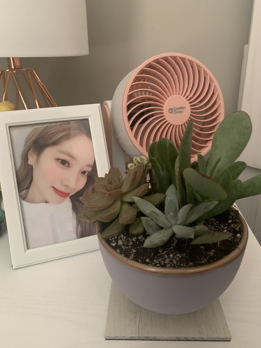 cloudyjinsoul's tweet photo. i bought a cute succulent today and i love it sm 🥺 that’s my baby !! https://t.co/2g3mplVWOS