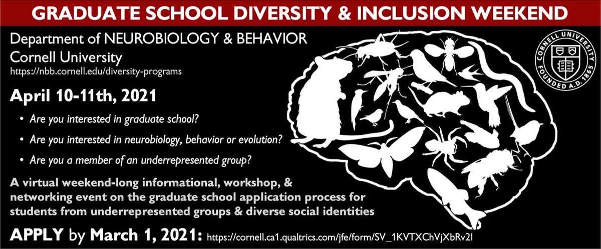 LSMRCE's tweet photo. ATTN NEUROSCI STEM UNDERGRADS: @CornellNBB Graduate School Diversity and Inclusion Weekend, virtual April 10-11 https://t.co/WVnGXiLHQr #STEM #neuroscience @BlackInNeuro @AlumniLsamp @InLsamp @OKLSAMP @KYWVLSAMP @PUMA_STEM @GSLsamp @txlsamp @MOLSAMPSTL https://t.co/FIsKAtxlNd