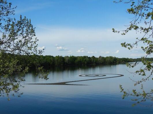 Beemats Floating Wetlands tweet media