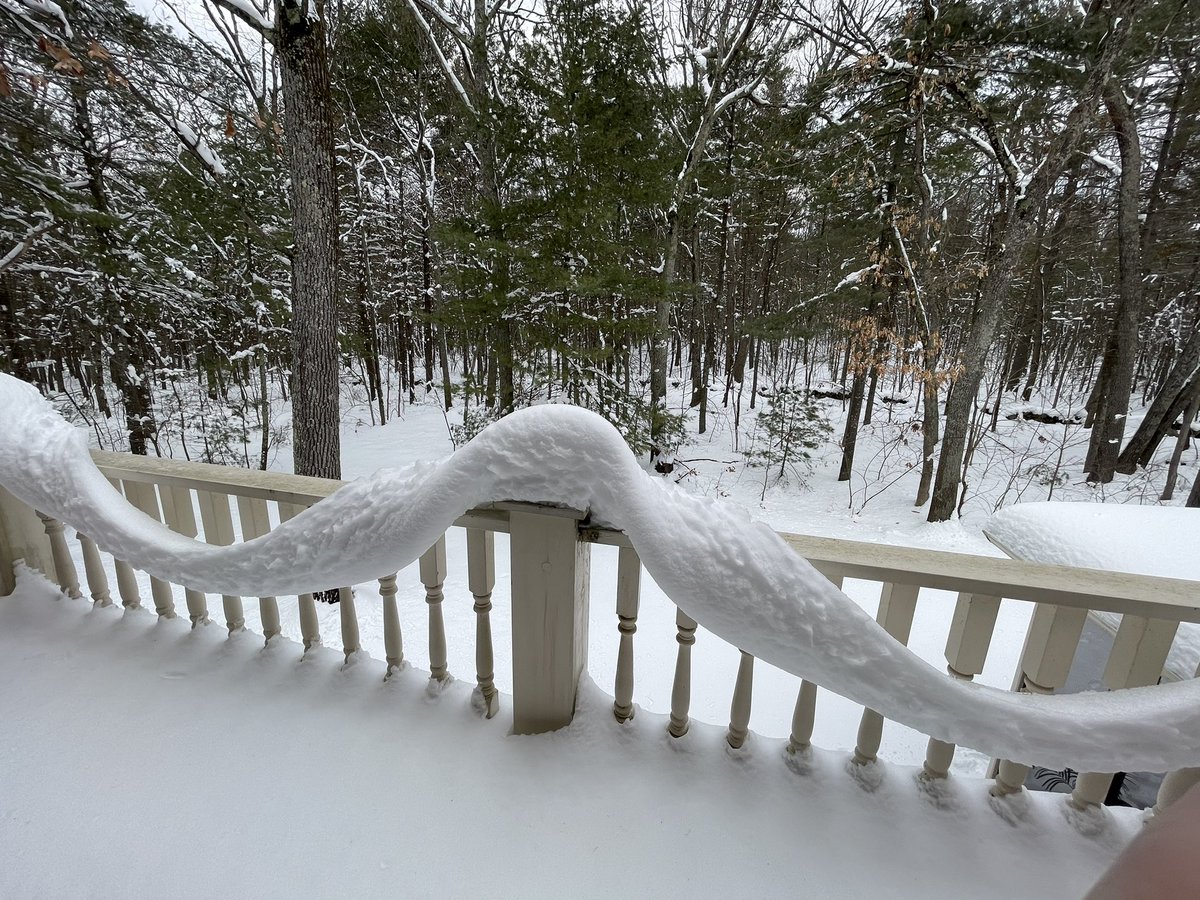AlDeane's tweet photo. Wild from the back deck https://t.co/usSMZnRcRr
