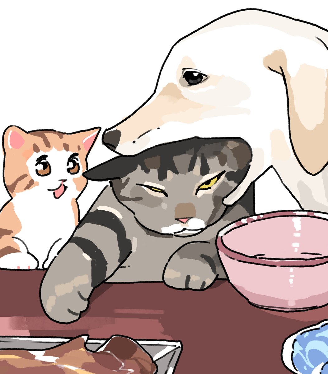 GENTLECAT tweet media