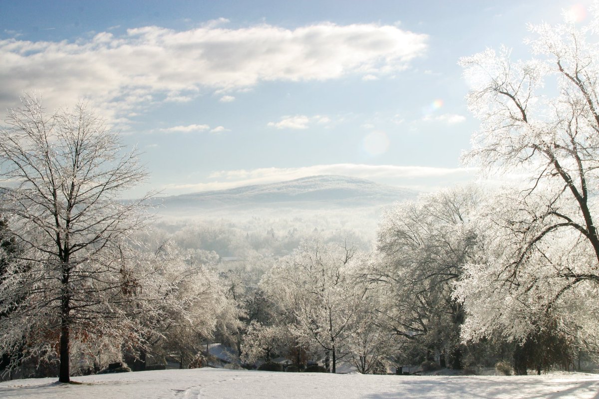 When it comes to gorgeous views - there's simply SNOW comparison! 😍 #townoffrontroyal #frontroyal #frontroyalva #virginia #warrencounty #shenandoahvalley #shenandoah #atownforallseasons #shenandoahnationalpark #discoverfrontroyal #warrencounty #pun