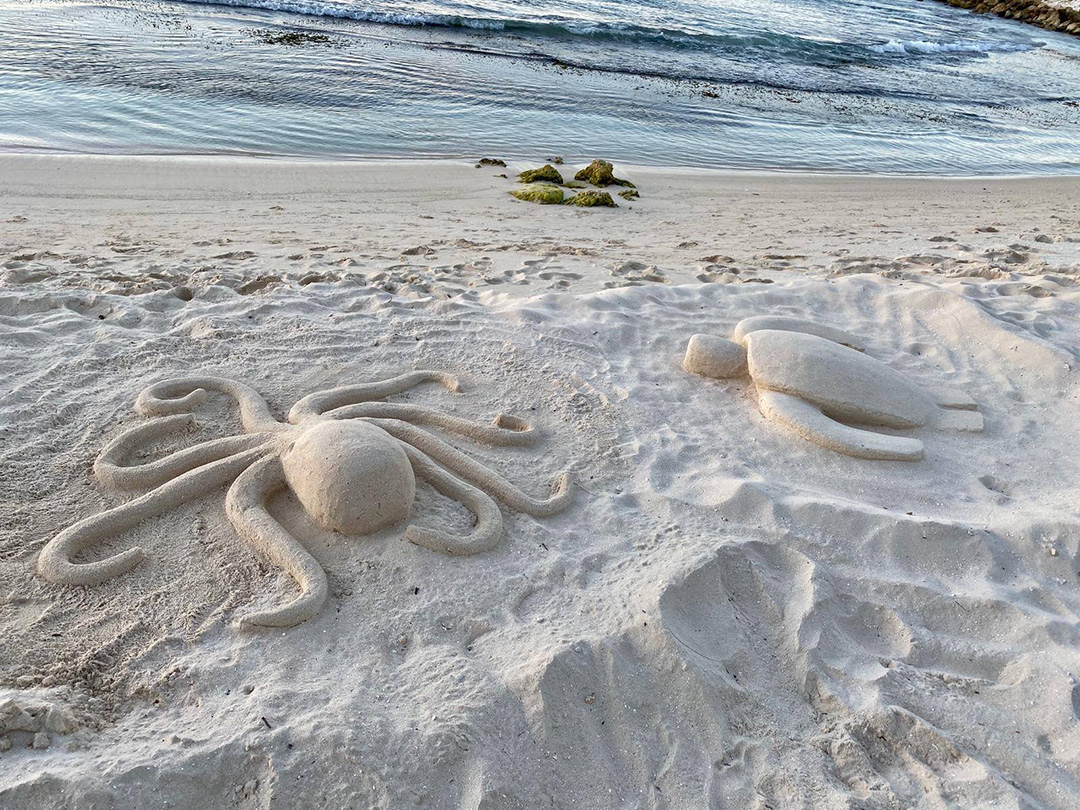 DiviResorts's tweet photo. These sand sculptures are so cool! Who loves playing in the sand? ✋
#diviresorts #diviphoenix #aruba #beach #caribbean #vacation #sand #sandcastles #sandsculptures #sculptures #ocean #sea #beach #beaches #vacationfun #vacationtime https://t.co/nY5oKY0QtT