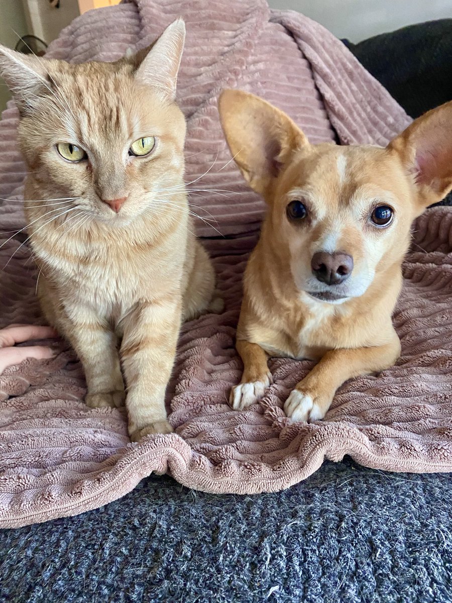 ♓️OPE tweet media