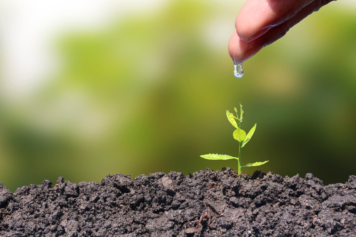 With the world’s population projected to rise to 9.7 billion by 2050, soil health is a critical element of global food and nutritional security. We need to halt the loss of biodiversity. #soilhealth #regnerativeagriculture