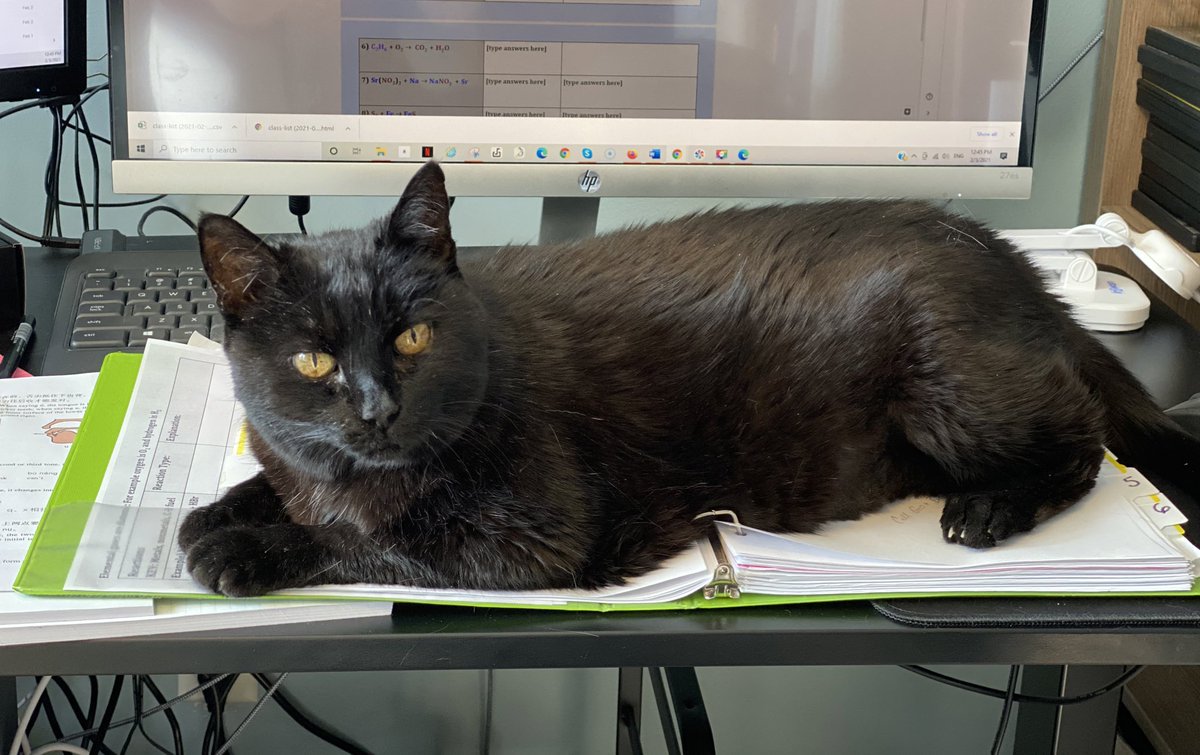 Sci_File's tweet image. Any suggestions on what to do with a lazy TA? Evidence from 2 different days...she doesn’t seem to mind being written up for insubordination either 🤷‍♀️

#distancelearning #remoteteaching #CatsOnTwitter