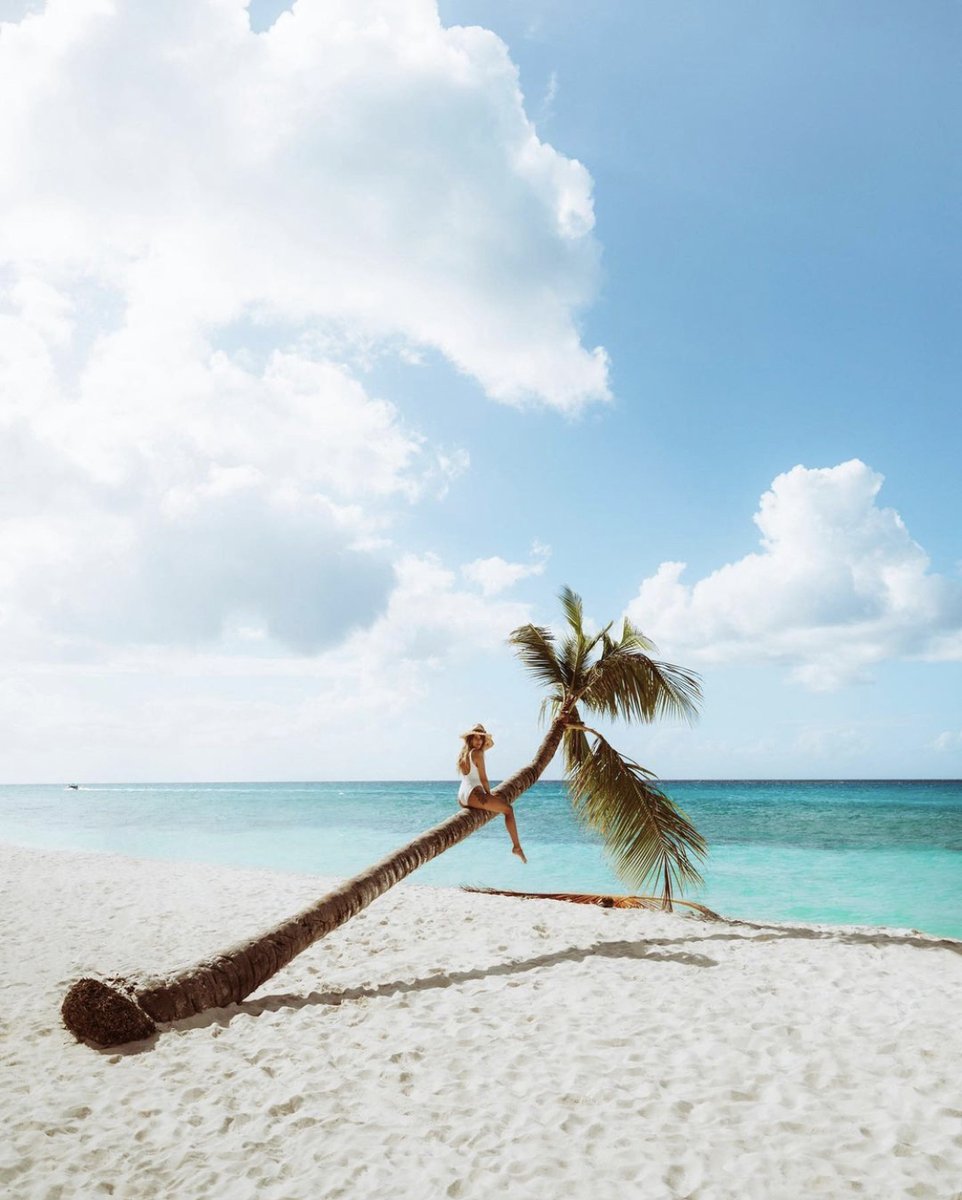 Planning a trip to Punta Cana? Then you must add Saona Island to your list! Visitors can take day trips to enjoy the beaches through a myriad of options. Start planning your trip today!☀️ 🌴 #GoDomRep #OpenDr 🇩🇴 📸:<a href="/palomafts/">Paloma Fts</a>📍 Isla Saona