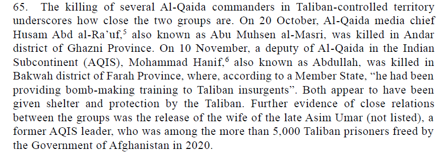 Recently killed al-Qaida leaders Husam Abd al-Rauf and Hanif appear to have been given shelter and protection by the Taliban.