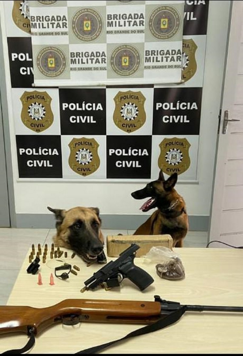 Police dogsguns