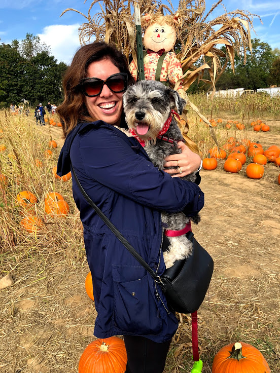 myPSCA's tweet photo. Kelly Wehr deserves our next Shout Out! She's a school counselor at Saucon Valley Elementary School, and she's been working for 8.5 years. Great job, Kelly! #myPSCA #NSCW21 https://t.co/lmph891gYr