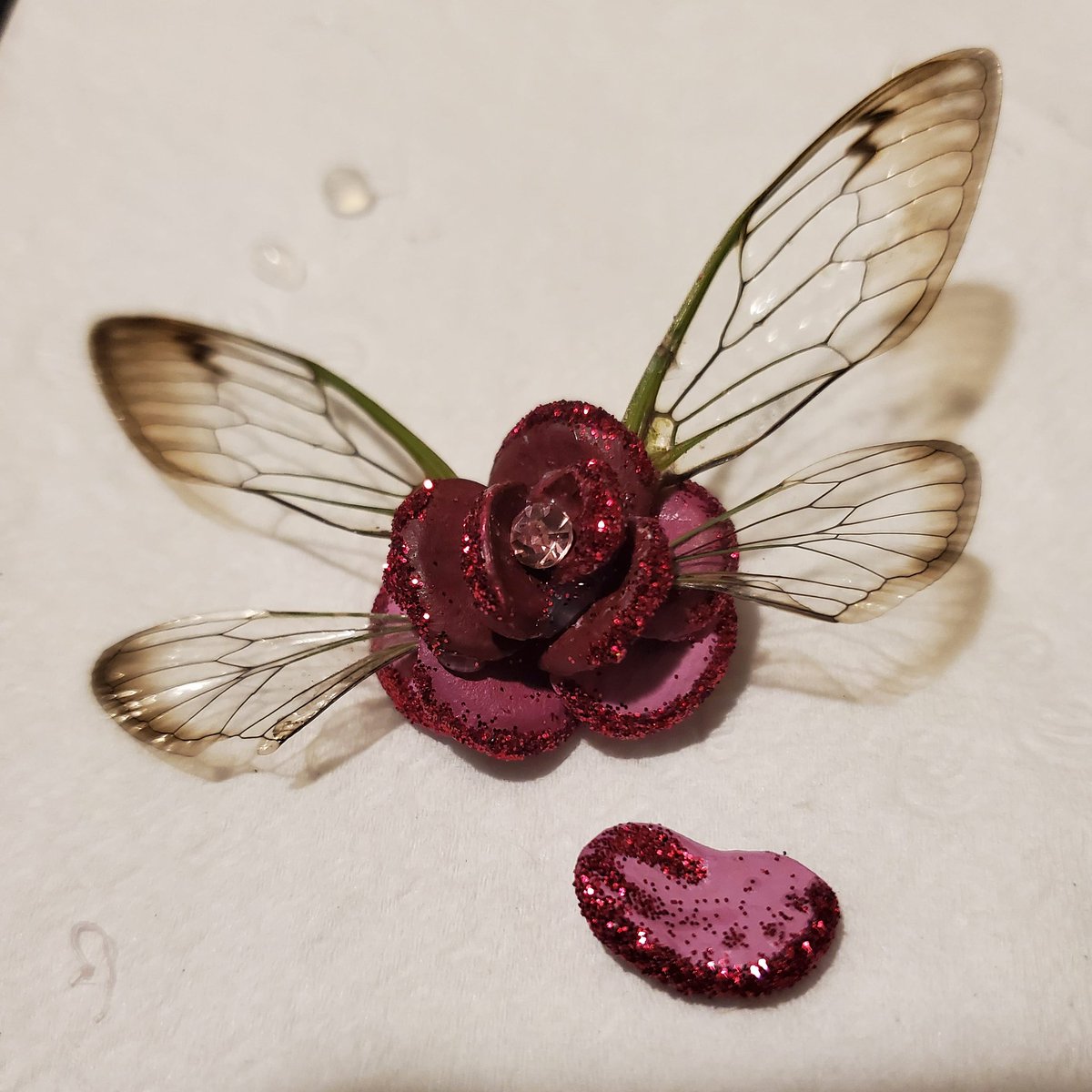 OdellStevane's tweet photo. A small rose made from raccon bones and cicada wings💖🧚‍♀️🌹
#Bones #boneart #art #vultureculture https://t.co/I1fH7rm6Fs